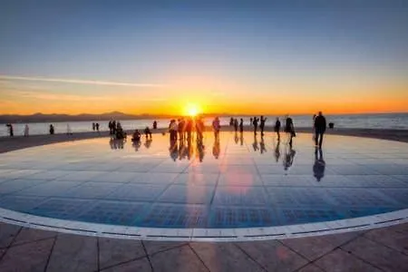 Dinko فيلة Pridraga